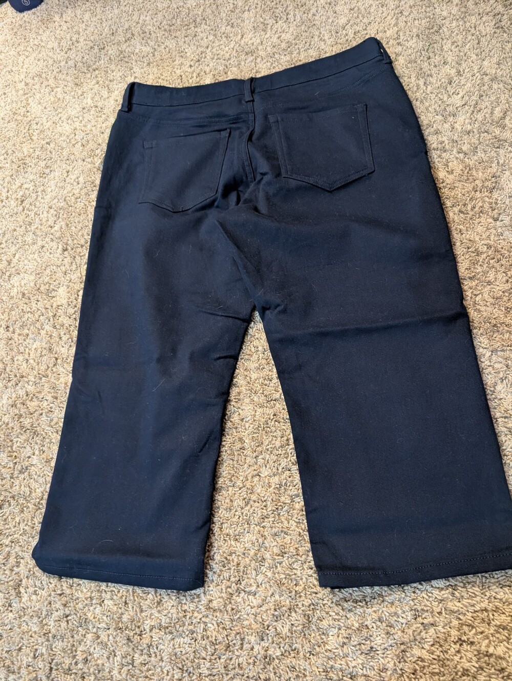 Crop Pant New